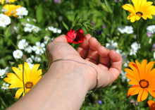 Charger l'image dans la galerie, Lignes n°11